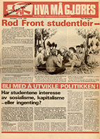 Hva må gjøres nr. 3b, 1978
